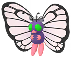 Butterfree (Fashionable Costume)