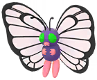 Butterfree