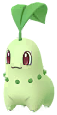 Chikorita
