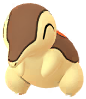 Cyndaquil