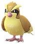 Pidgey