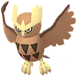Noctowl
