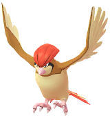 Pidgeotto