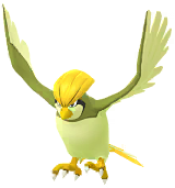 Pidgeotto