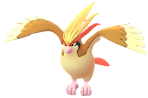 Pidgeot