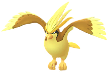 Pidgeot
