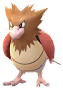 Spearow