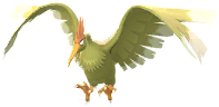 Fearow