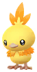 Torchic