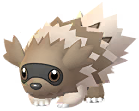 Zigzagoon