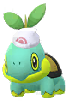 Turtwig (Dawn's Hat)