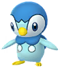 Piplup
