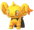 Shinx