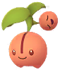 Cherubi