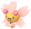 Sunny Cherrim