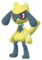 Riolu