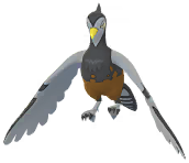 Unfezant