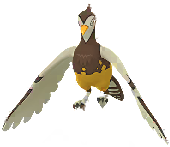 Female Unfezant