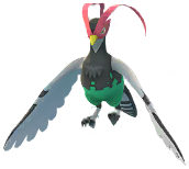 Male Unfezant