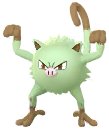 Mankey