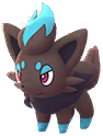 Zorua