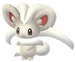 Cinccino