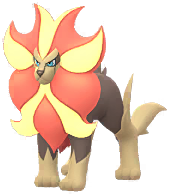 Male Pyroar