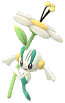 White Flower Floette