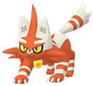 Torracat