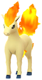 Ponyta