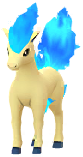 Ponyta