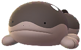 Clodsire